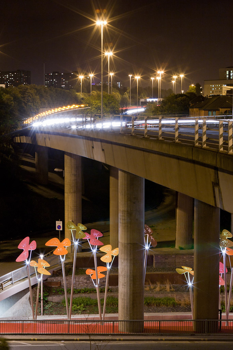 Phoenix Flowers Dave Morris Photography